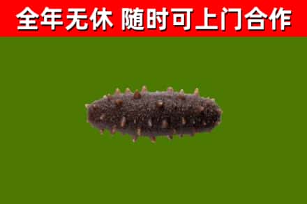 兴安烟酒回收干海参.jpg